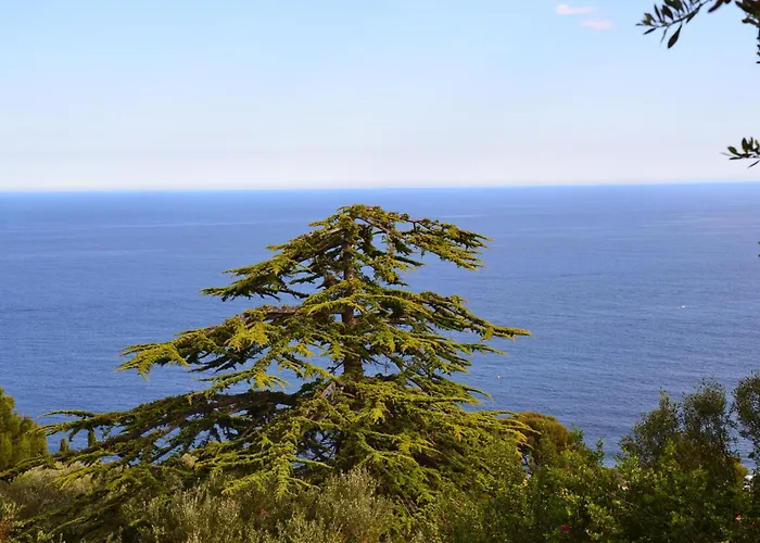 卡普戴尔海岸别墅酒店