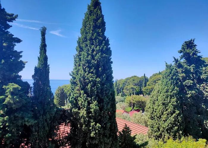 卡普戴尔海岸别墅酒店 * 卡普戴尔