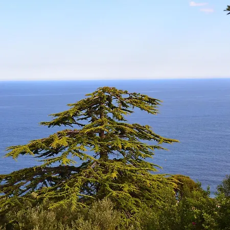 Azur Cap D'ail