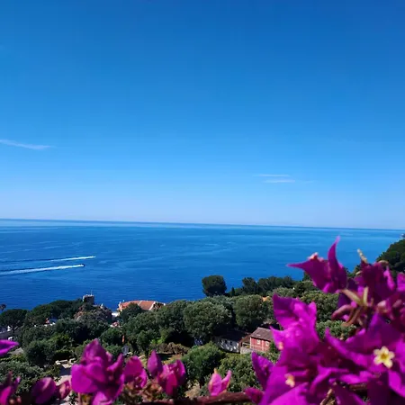 Apartment Azur