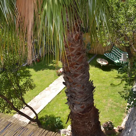 アジュー キャプ ダーイ カップダイユ