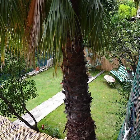 Apartment Azur Cap D'ail Cap-d'Ail